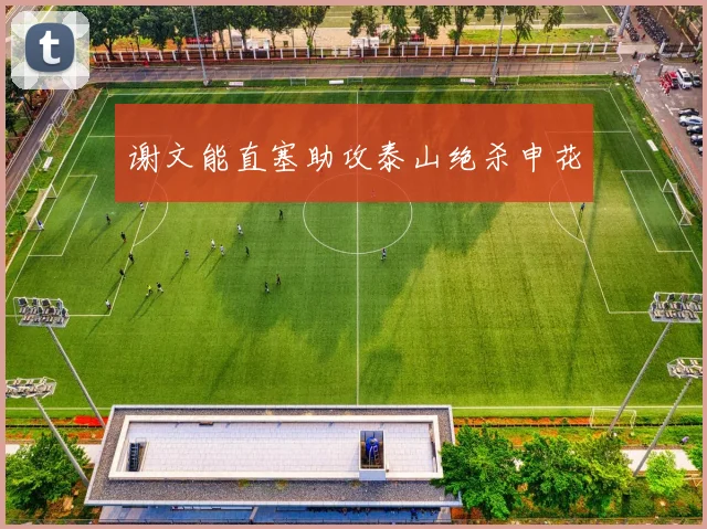 谢文能直塞助攻泰山绝杀申花